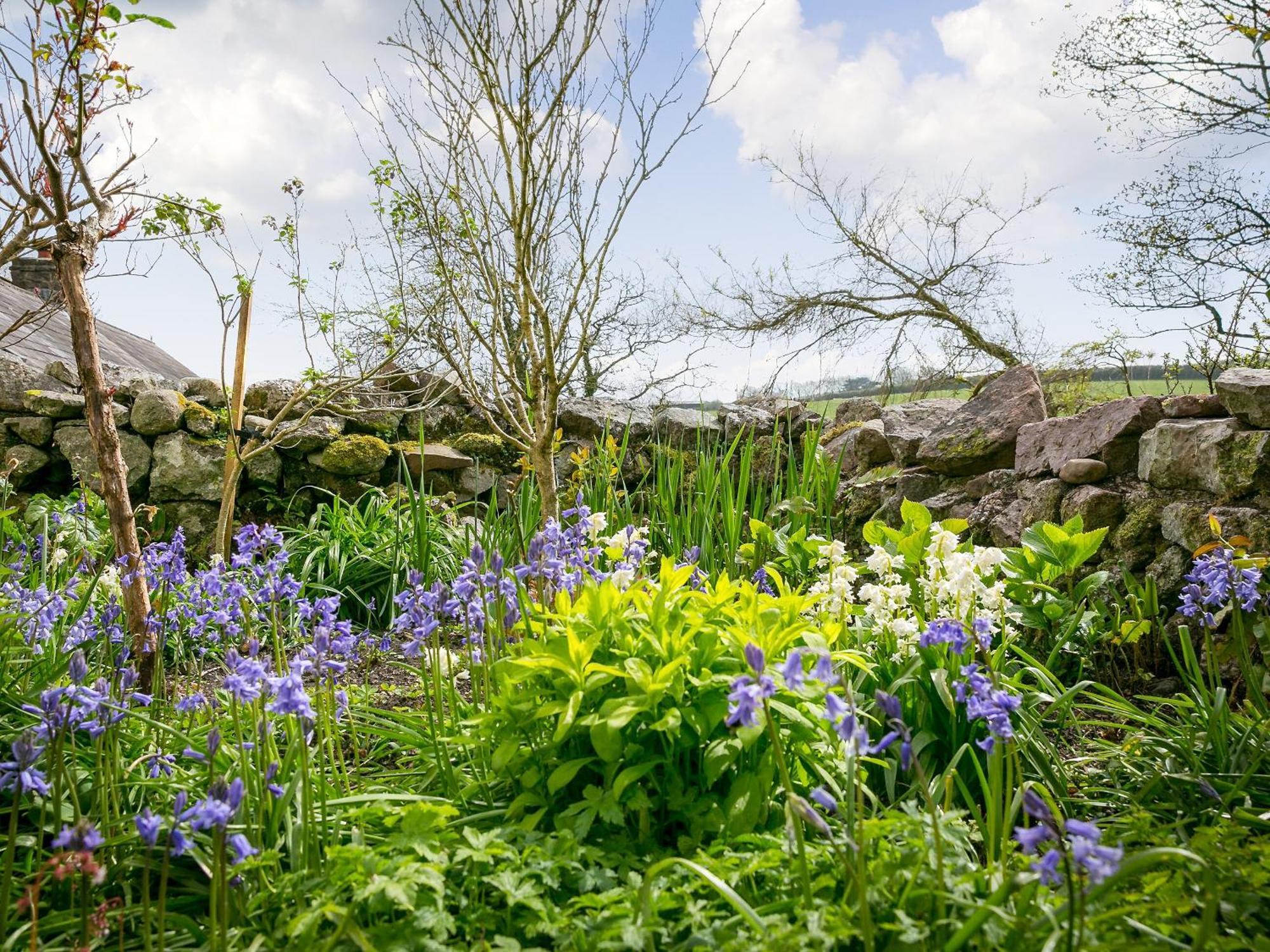 Teal Villa Llangennith Eksteriør bilde